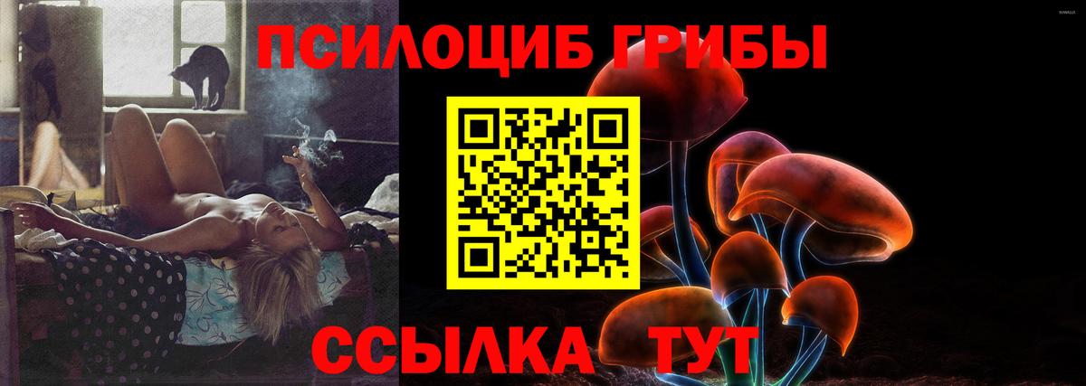 Нарткала  Псилоцибиновые грибы Cubensis  Вход с VPN 